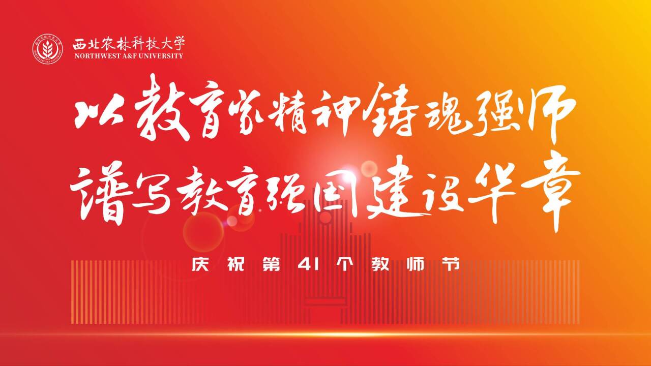 翻越人生的浪浪山，感恩有您！